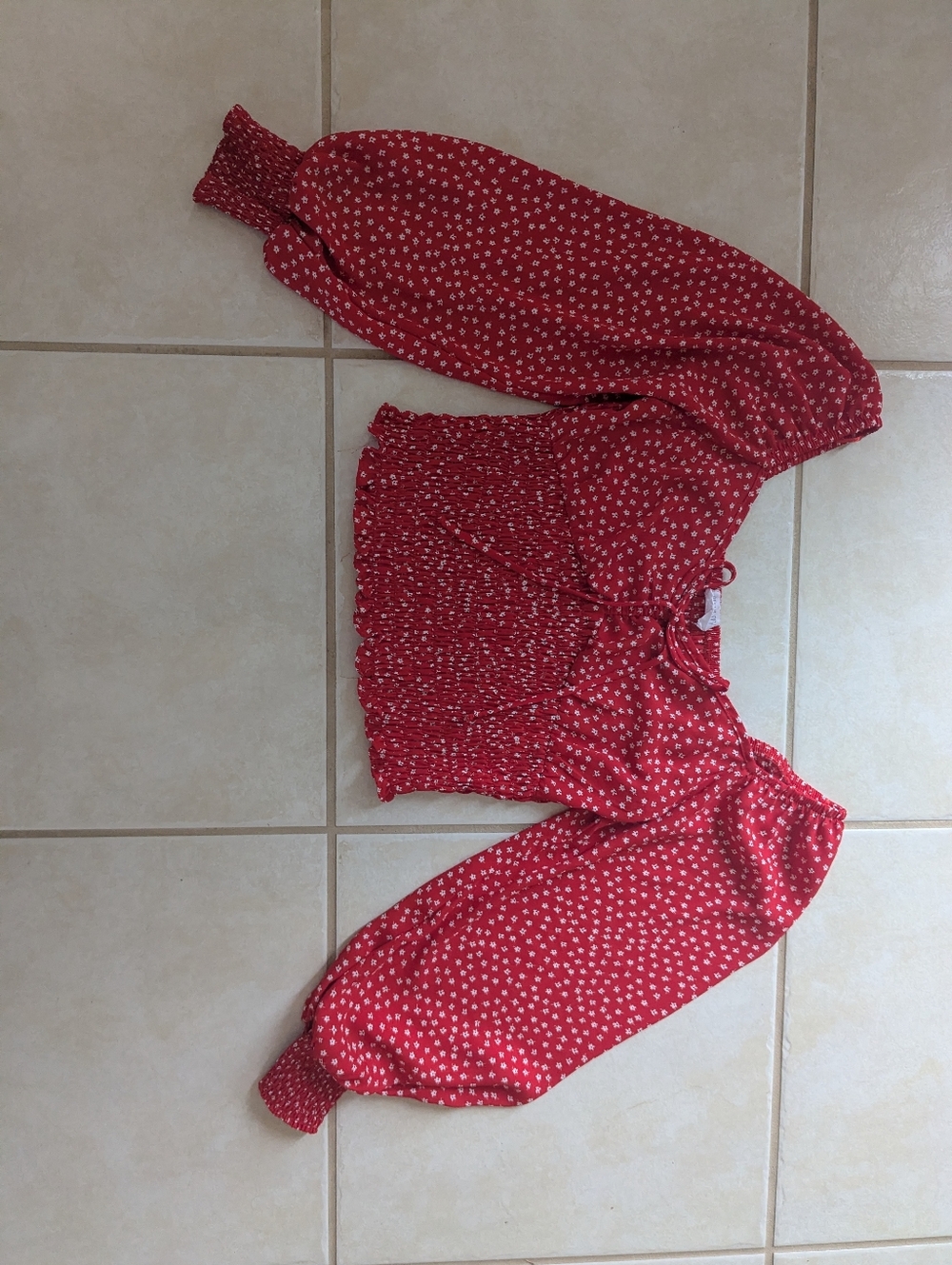 Sienna Sky Red Floral Smocked Crop Top with Puff Sleeves